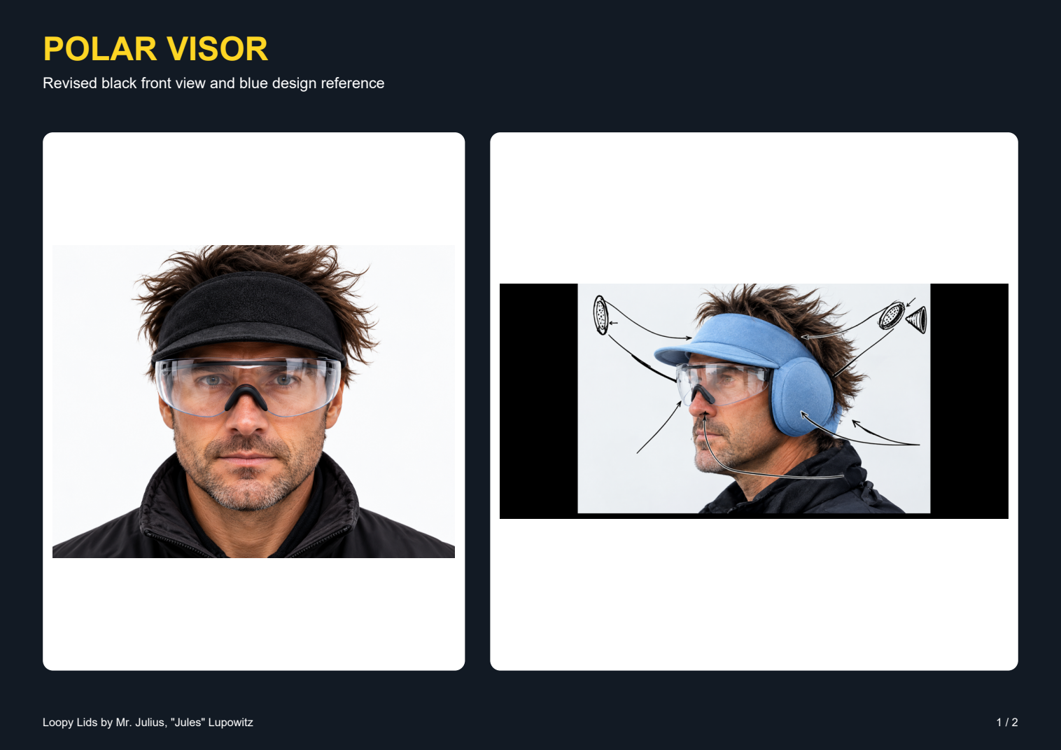 PolarVisor design presentation, page 1